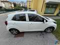 Kia Picanto 1.0 12V 5 porte Urban Blanc - thumbnail 7