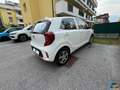 Kia Picanto 1.0 12V 5 porte Urban Blanc - thumbnail 6
