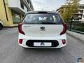 Kia Picanto 1.0 12V 5 porte Urban Blanc - thumbnail 5