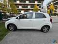 Kia Picanto 1.0 12V 5 porte Urban Blanc - thumbnail 3