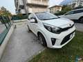 Kia Picanto 1.0 12V 5 porte Urban Blanc - thumbnail 8