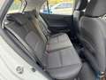 Kia Picanto 1.0 12V 5 porte Urban Blanc - thumbnail 20