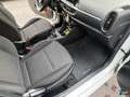 Kia Picanto 1.0 12V 5 porte Urban Blanc - thumbnail 23