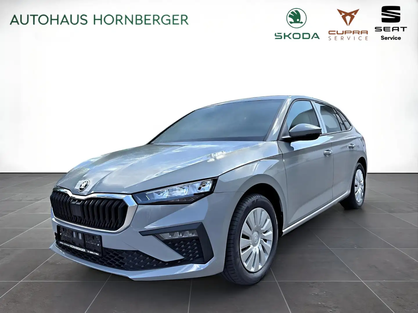 Skoda Scala Sondermodell 130 Jahre LED PDC Sitzheizung Tempoma Grau - 1