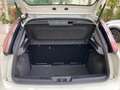 Fiat Punto 1.3 MJT II 75 CV 5 porte Lounge Bianco - thumbnail 13