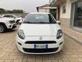 Fiat Punto 1.3 MJT II 75 CV 5 porte Lounge Bianco - thumbnail 3