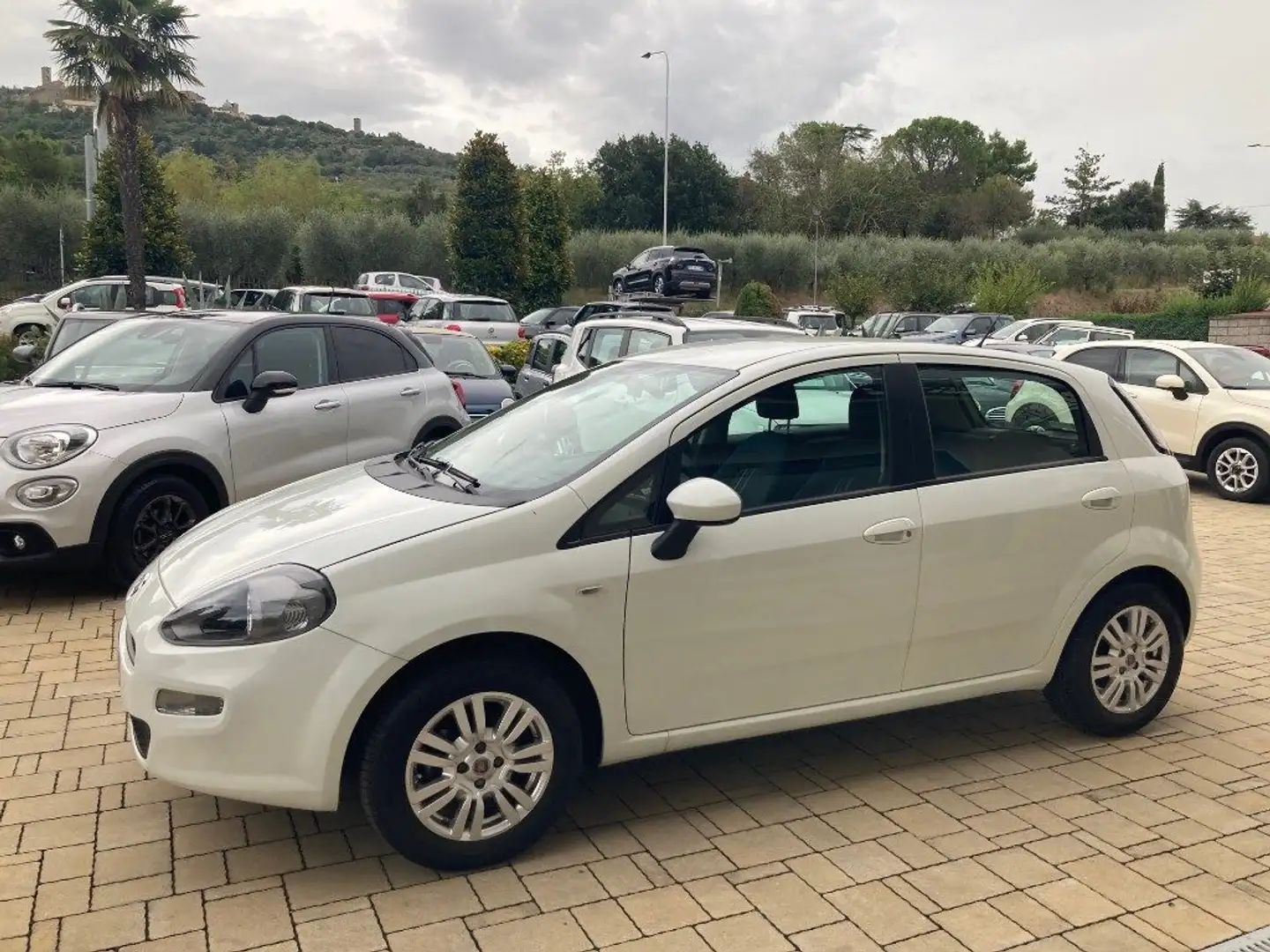 Fiat Punto 1.3 MJT II 75 CV 5 porte Lounge Bianco - 2