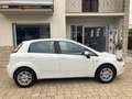 Fiat Punto 1.3 MJT II 75 CV 5 porte Lounge Bianco - thumbnail 5
