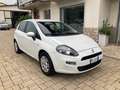 Fiat Punto 1.3 MJT II 75 CV 5 porte Lounge Bianco - thumbnail 4