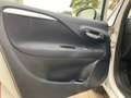 Fiat Punto 1.3 MJT II 75 CV 5 porte Lounge Bianco - thumbnail 11