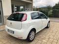 Fiat Punto 1.3 MJT II 75 CV 5 porte Lounge Bianco - thumbnail 6