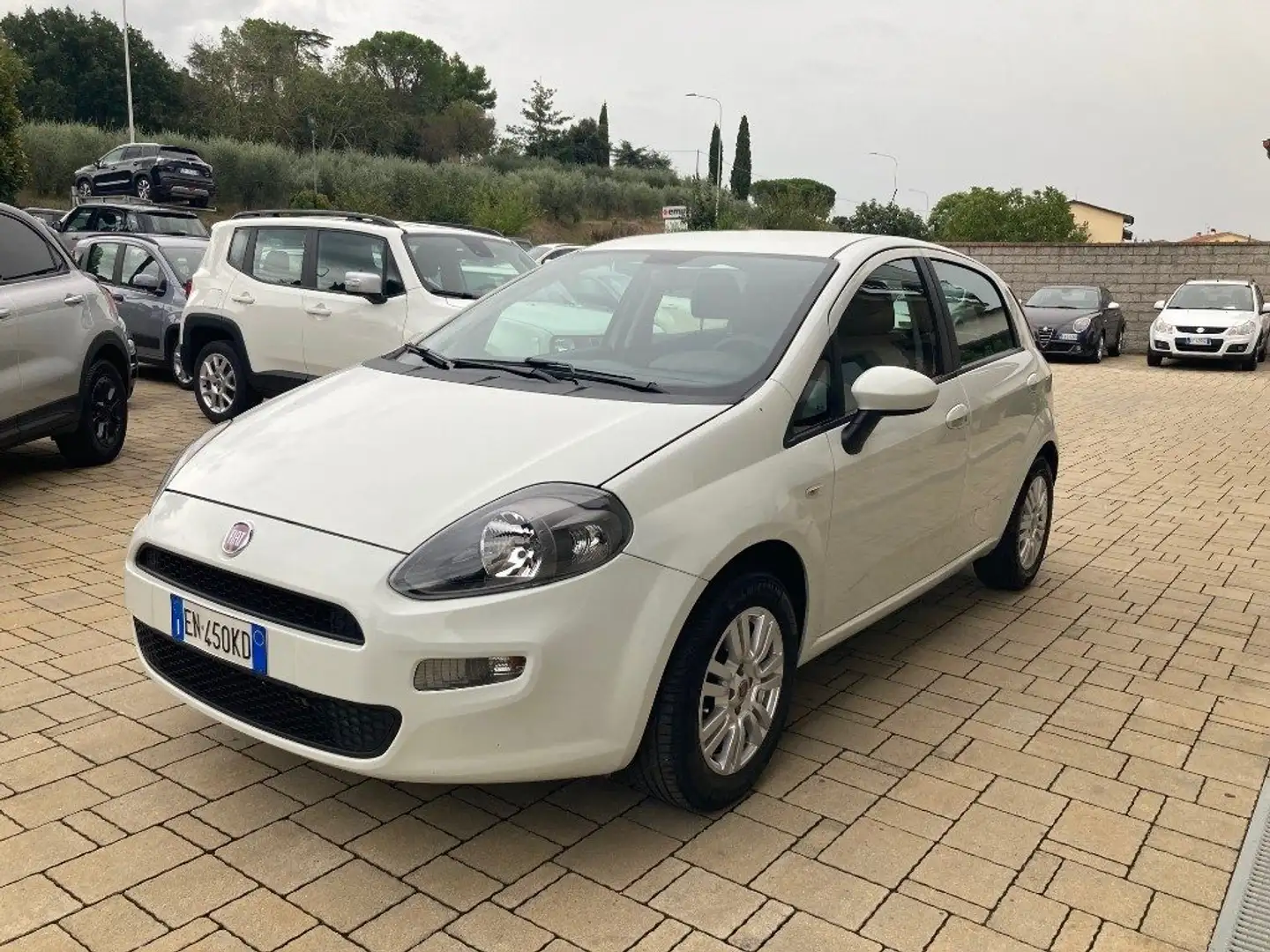 Fiat Punto 1.3 MJT II 75 CV 5 porte Lounge Bianco - 1