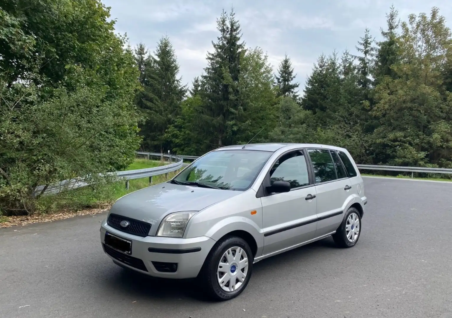 Ford Fusion 1.4 TDCI + Silber - 1