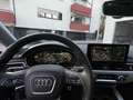 Audi A4 allroad A4 allroad quattro 40 TDI S tronic, Top, AHK Niebieski - thumbnail 14
