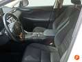 Lexus NX 300 300h Business Navigation 2WD Blanco - thumbnail 11