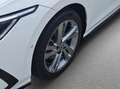Volkswagen Golf Variant 1.5 TSI R-Line Pano*AHK*HuD*ACC*RFK Weiß - thumbnail 12