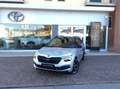 Skoda Kamiq Kamiq 1.5 TSI ACT Monte Carlo Grau - thumbnail 1