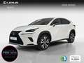 Lexus NX 300h 2.5 Premium 2WD Blanc - thumbnail 1
