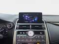Lexus NX 300h 2.5 Premium 2WD Blanc - thumbnail 23