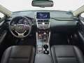 Lexus NX 300h 2.5 Premium 2WD Blanc - thumbnail 15