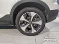 Volvo XC40 B4 B DKG Plus Dark Panorama / 360 Grad / Busi Weiß - thumbnail 14
