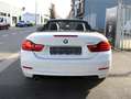 BMW 420 iA Cabriolet+BOÎTE AUTO+CUIR SPORT +++ Wit - thumbnail 7