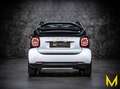 smart forTwo cabrio passion DCT HP121:DIE SPORTSKANONE Alb - thumbnail 5