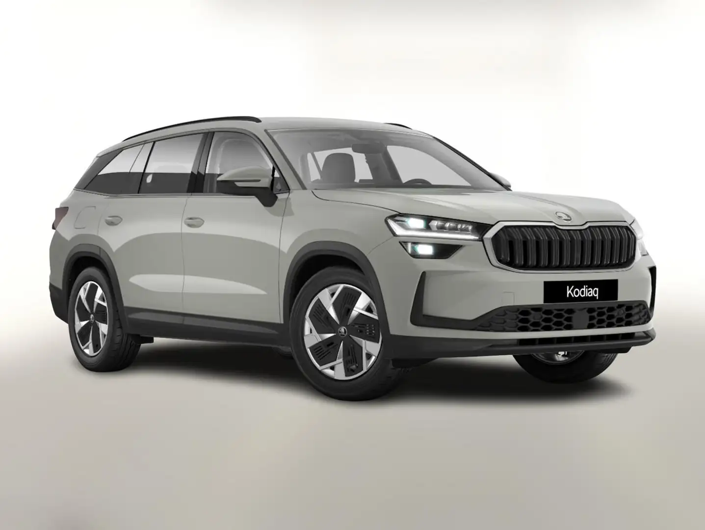 Skoda Kodiaq Selection eTSI DSG Selec AHK Matrix Nav ACC Kes... Grau - 1