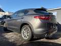 Alfa Romeo Stelvio 2.0 T Q4 Super (EU6d-TEMP) Gris - thumbnail 6