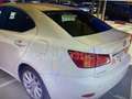 Lexus IS 250 Premium Aut. Weiß - thumbnail 2