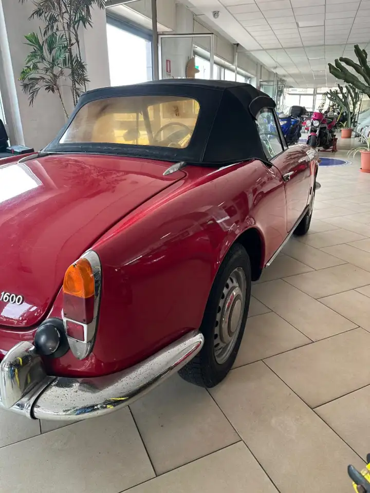Alfa Romeo Spider 1.6 osso di seppa, foto 6