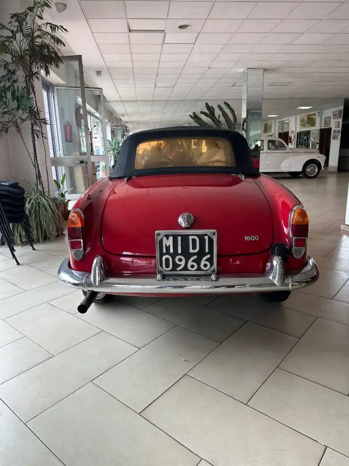 Alfa Romeo Spider 1.6 osso di seppa, foto 4