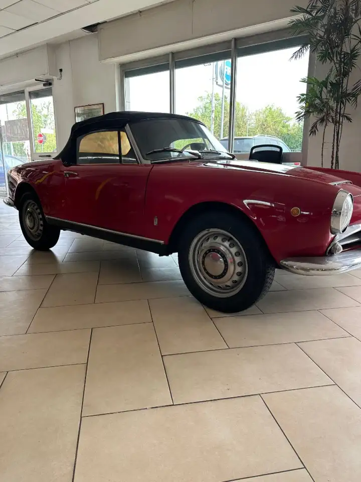 Alfa Romeo Spider 1.6 osso di seppa, foto 2