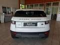 Land Rover Range Rover Evoque 2,0 TD4 Aut. Weiß - thumbnail 6