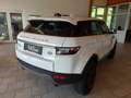 Land Rover Range Rover Evoque 2,0 TD4 Aut. Weiß - thumbnail 5