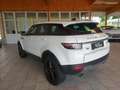 Land Rover Range Rover Evoque 2,0 TD4 Aut. Weiß - thumbnail 7