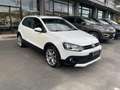 Volkswagen Polo Cross Polo 5p 1.4 tdi bm Cross per neopatentati Alb - thumbnail 3
