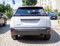 Peugeot 2008 Allure PureTech 100 *ALLWETTER*ABVERKAUF* Weiß - thumbnail 5