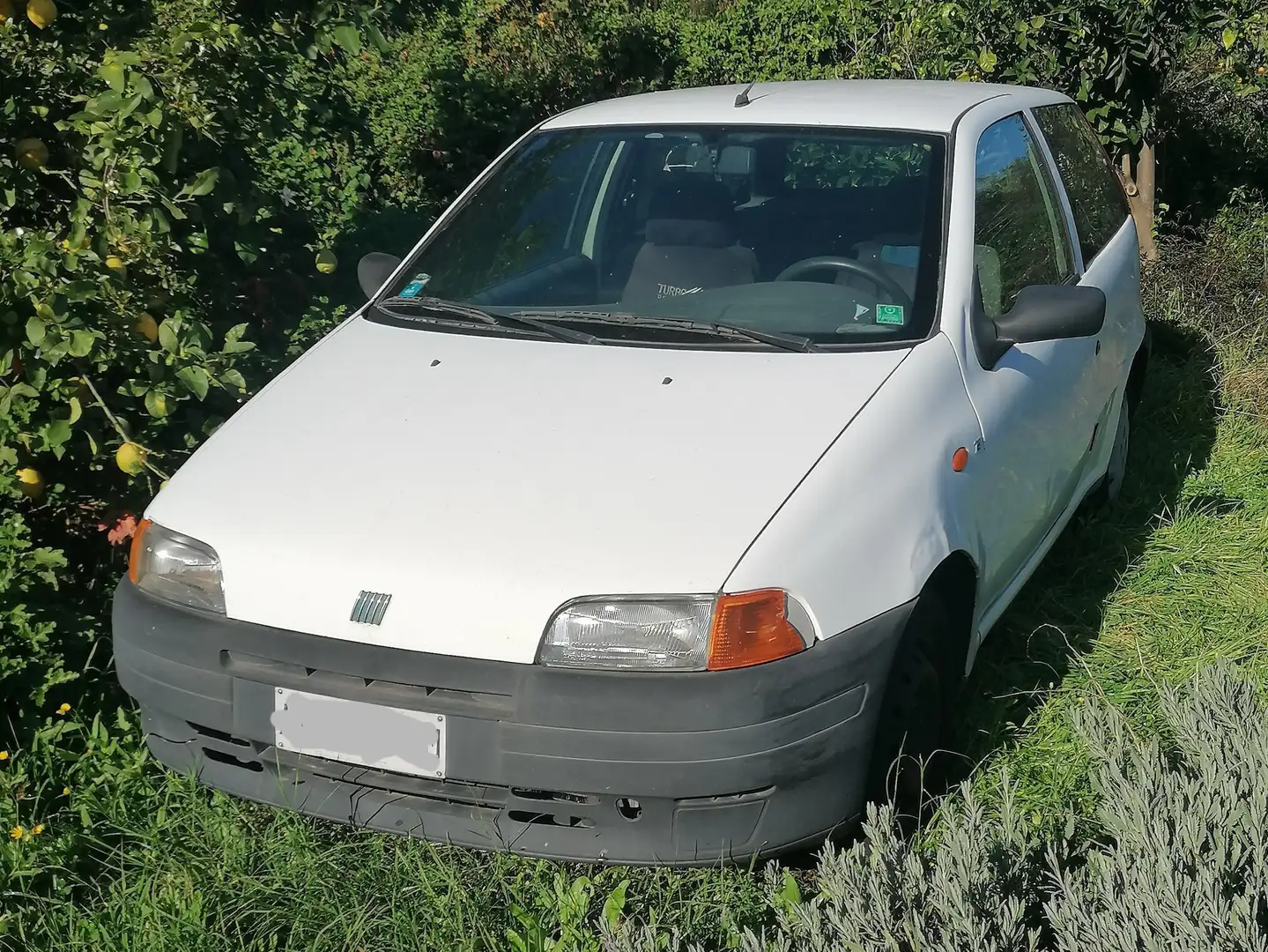 Fiat Punto Punto 3p 1.2 SX 75cv Bianco - 1