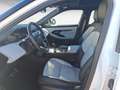 Land Rover Range Rover Evoque P300e R-DYNAMIC SE AWD Automa Weiß - thumbnail 7