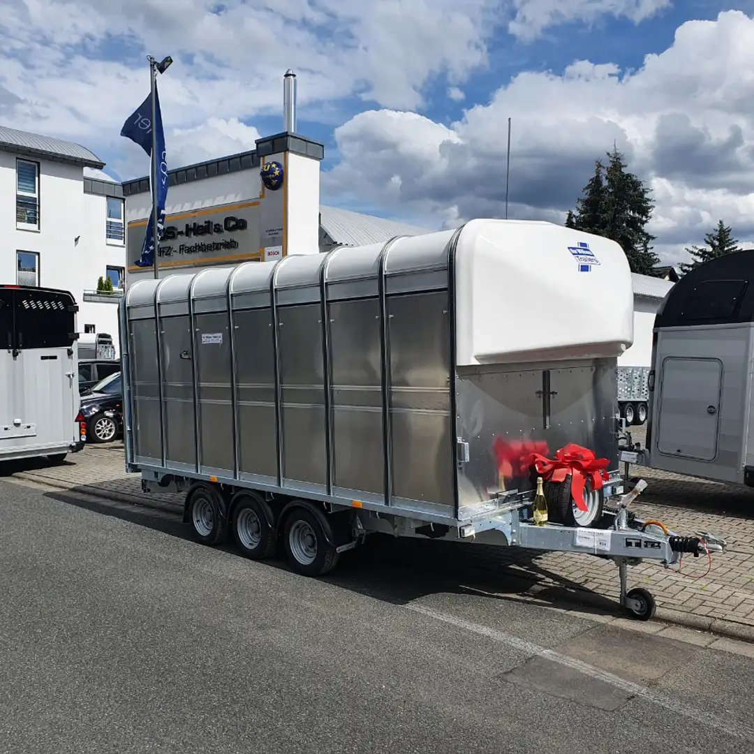Ifor Williams P 8 Viehanhänger Silber - 2