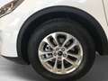 Ford Kuga 2,0 EcoBlue Titanium 190PS PWS 4WD*AHK*SD*LED Blanco - thumbnail 16