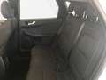 Ford Kuga 2,0 EcoBlue Titanium 190PS PWS 4WD*AHK*SD*LED Weiß - thumbnail 8