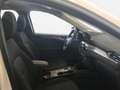 Ford Kuga 2,0 EcoBlue Titanium 190PS PWS 4WD*AHK*SD*LED Wit - thumbnail 27