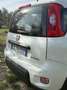 Fiat Panda 1.0 firefly hybrid Sport s&s 70cv 5p.ti - thumbnail 13