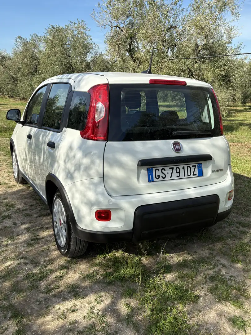 Fiat Panda 1.0 firefly hybrid Sport s&s 70cv 5p.ti - 2