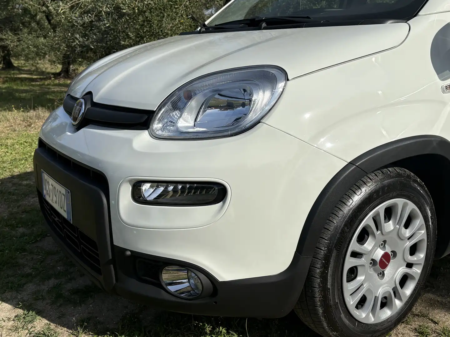 Fiat Panda 1.0 firefly hybrid Sport s&s 70cv 5p.ti - 1