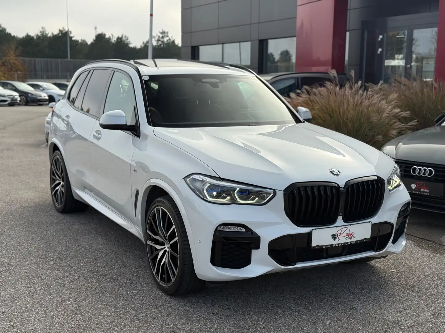 BMW X5 xDrive30d M Sport Individual  *Pano*Kristall*Luft Weiß - 2