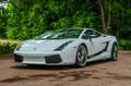 Lamborghini Gallardo 5.0 Superleggera LP530 / 1of619 Weiß - thumbnail 2