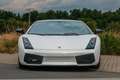 Lamborghini Gallardo 5.0 Superleggera LP530 / 1of619 Weiß - thumbnail 6